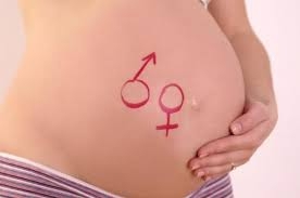 Realizamos exames de Sexagem Fetal
